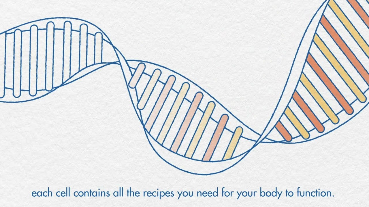 Genetics and prostate cancer